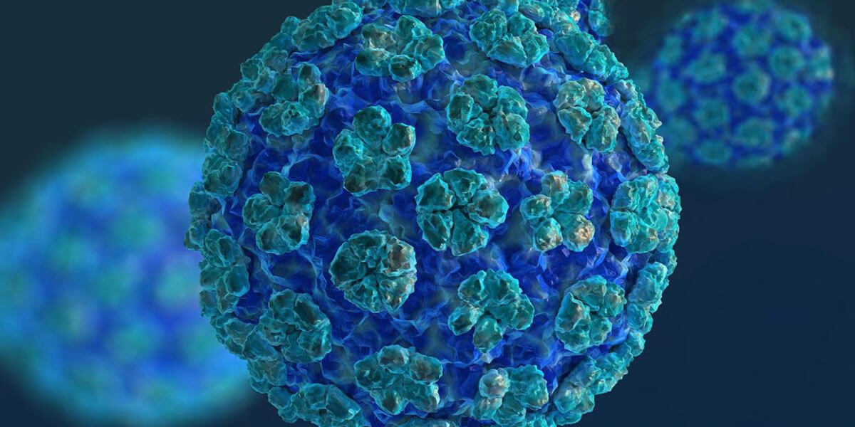 Erkeklerde Hpv Testi Yapilir Mi Urocore Uroloji Ve Cinsel Saglik Klinigi